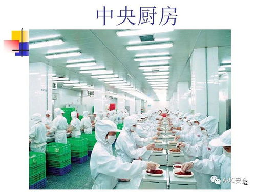 食品安全法與餐飲服務(wù) 筑牢健康防線，守護(hù)“舌尖上的安全”