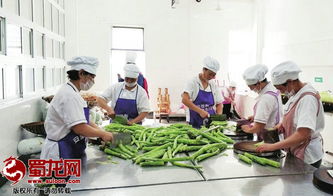 綿陽(yáng)市“明廚亮灶”工程成效顯著，餐飲服務(wù)單位覆蓋率突破75.5%